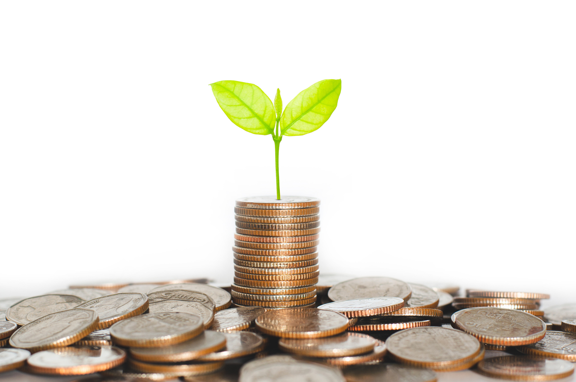 coin stack money saving concept. green leaf plant growth on rows of coin on white background. money matters tips to investment and business financial banking for Financial Wellness.